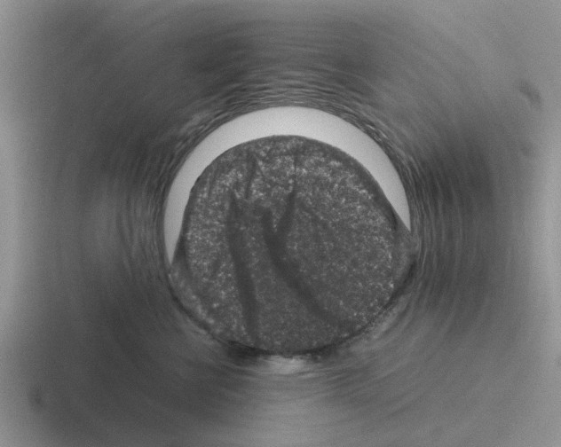 X0000116100570201001040954