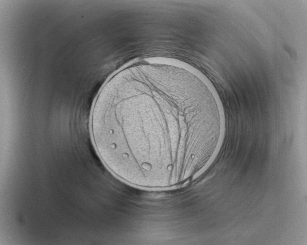 X0000116100575201001040954