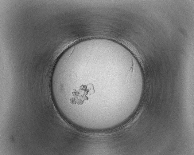 X0000116100577201001040953