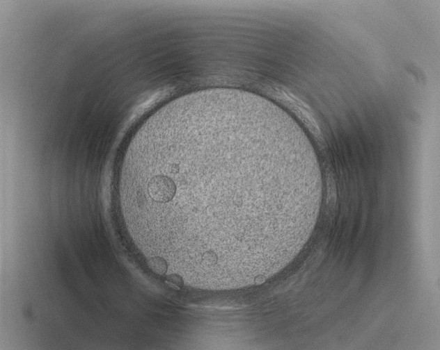 X0000116100578201001040953