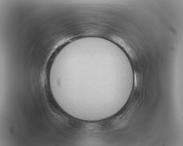 X0000116100579201001040953