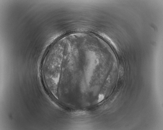 X0000116100581201001040953