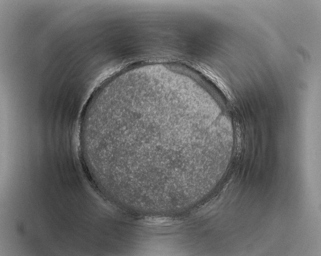 X0000116100582201001040953