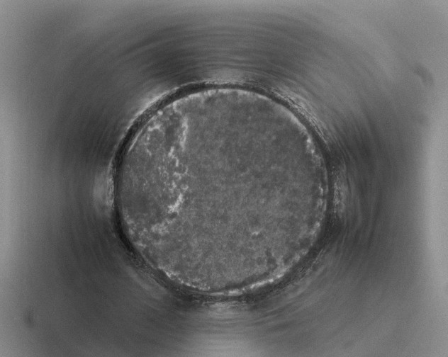 X0000116100584201001040953