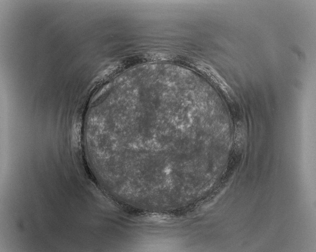 X0000116100585201001040953