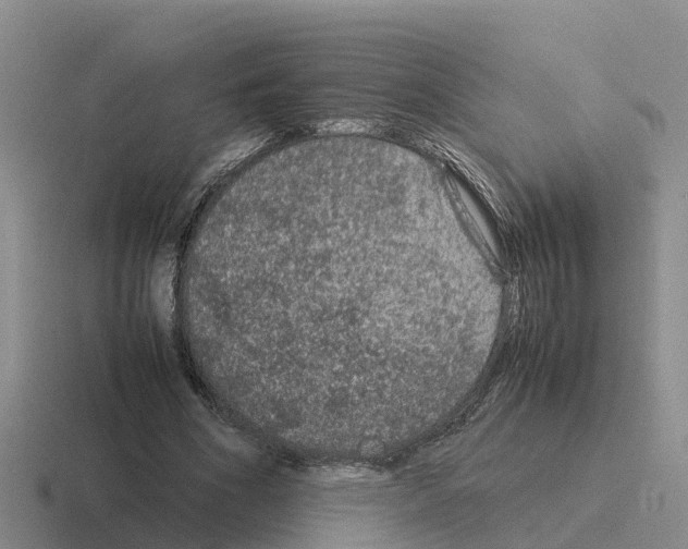 X0000116100586201001040953