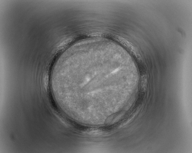 X0000116100589201001040953