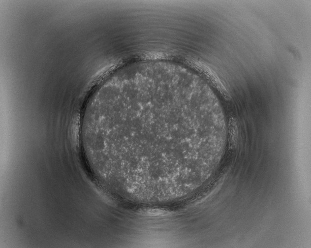 X0000116100590201001040953