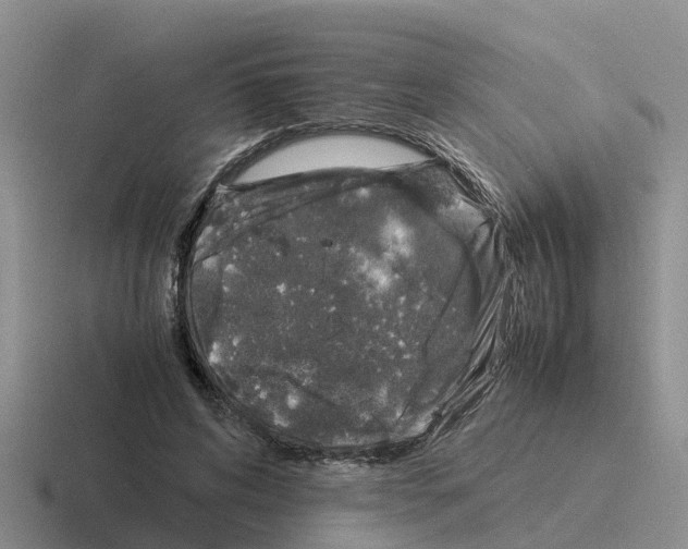 X0000116100592201001040953