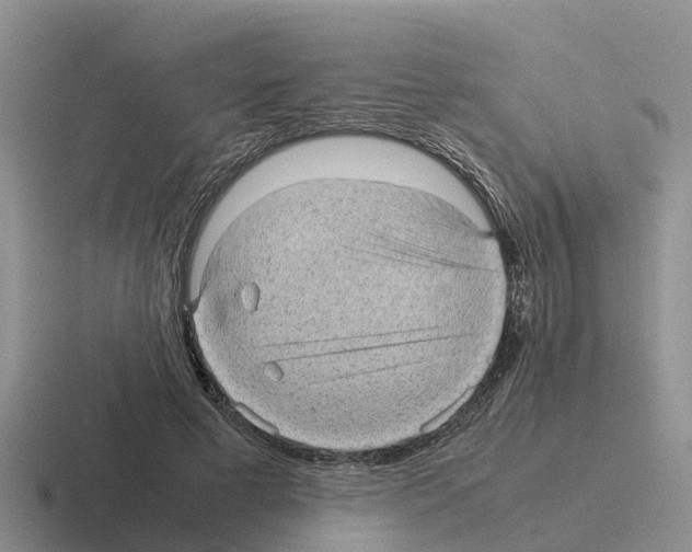 X0000116100593201001040953