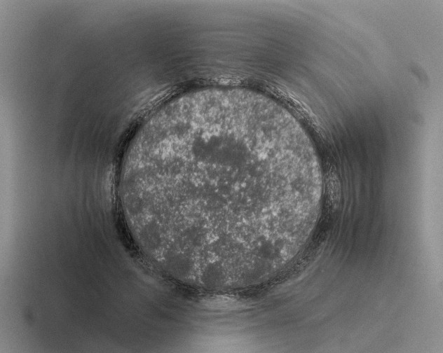 X0000116100594201001040953