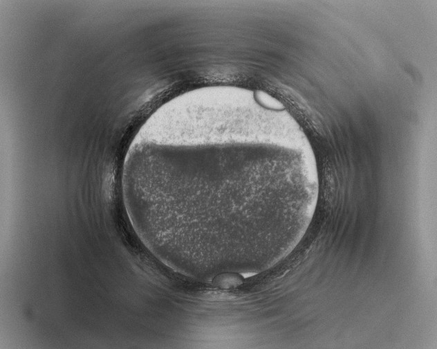 X0000116100596201001040953