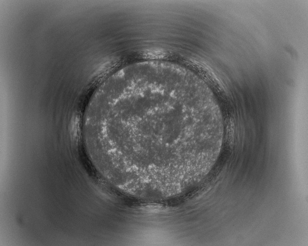 X0000116100598201001040953