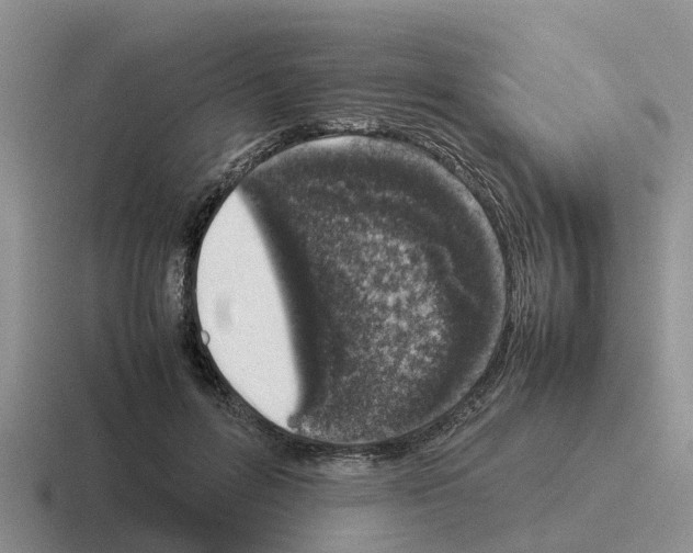 X0000116100600201001040953