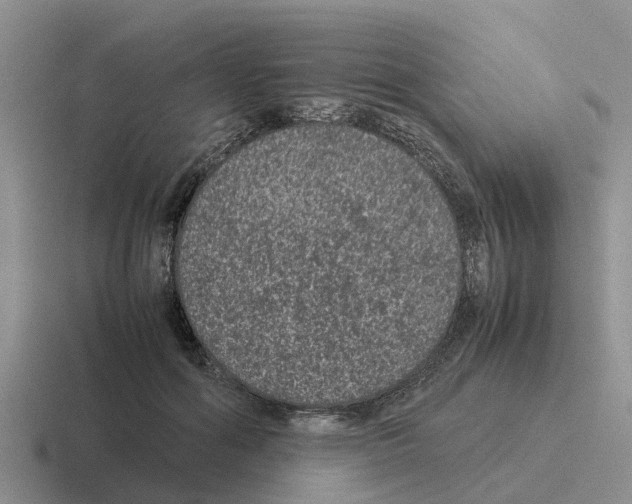 X0000116100602201001040953