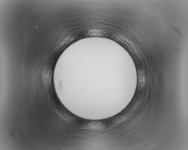 X0000116100603201001040953