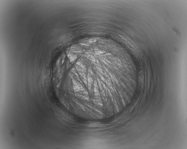 X0000116100605201001040953