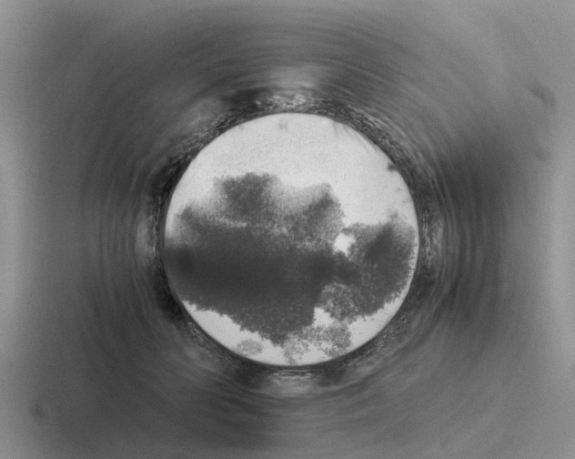 X0000116100606201001040953