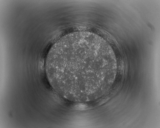 X0000116100610201001040953