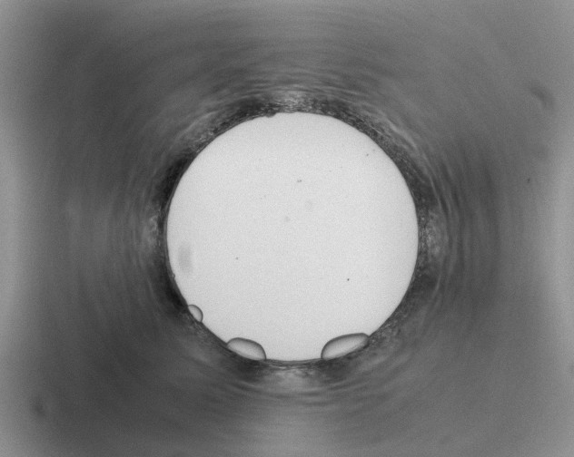 X0000116100611201001040953