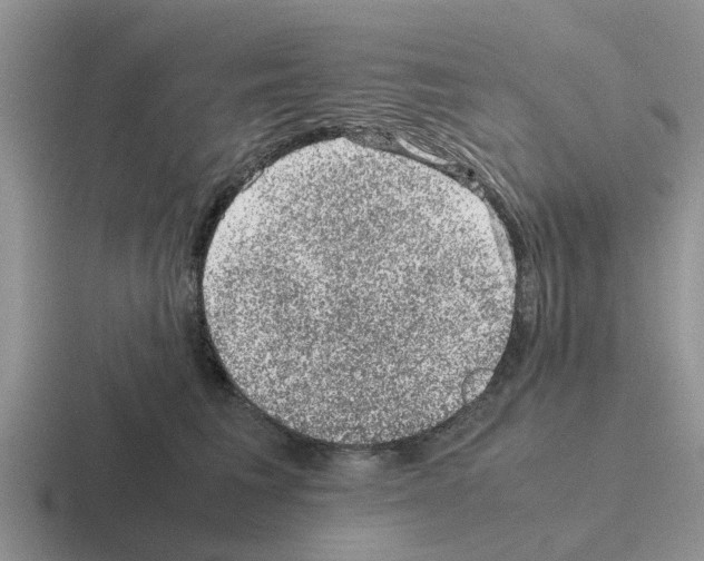 X0000116100613201001040953