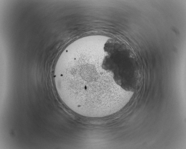 X0000116100617201001040953