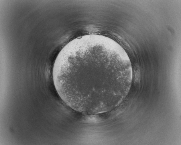 X0000116100618201001040953