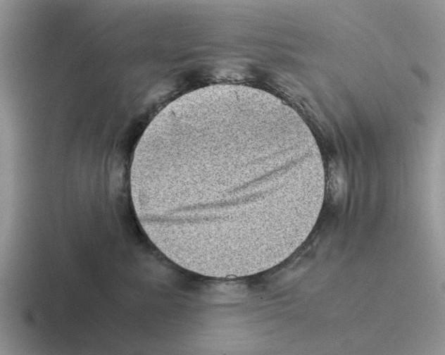 X0000116100619201001040953