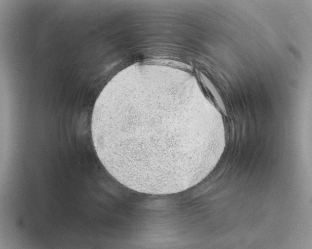 X0000116100620201001040953