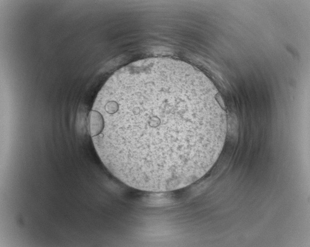 X0000116100622201001040953