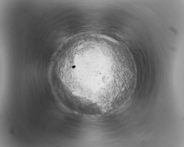 X0000116100624201001040953