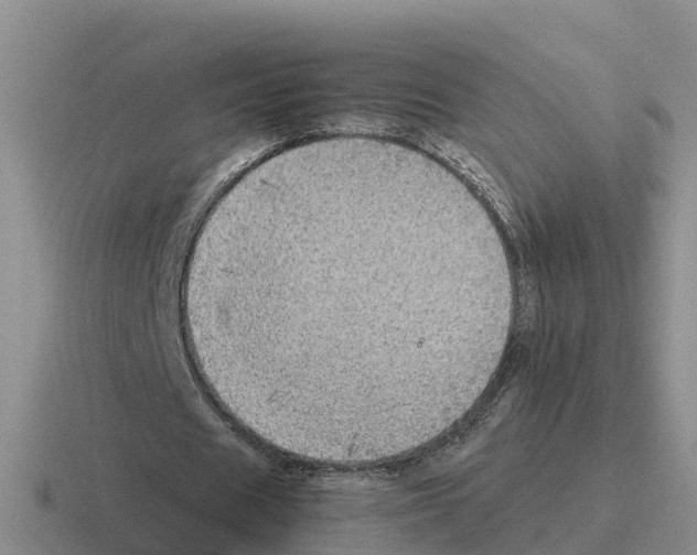 X0000116100625201001040952