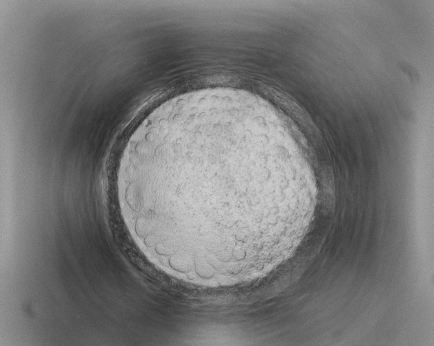 X0000116100626201001040952