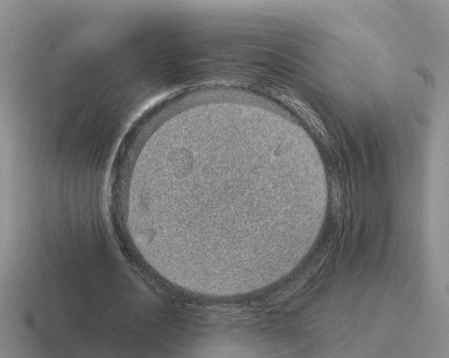 X0000116100628201001040952