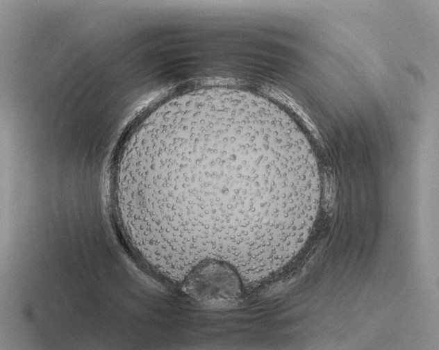 X0000116100629201001040952