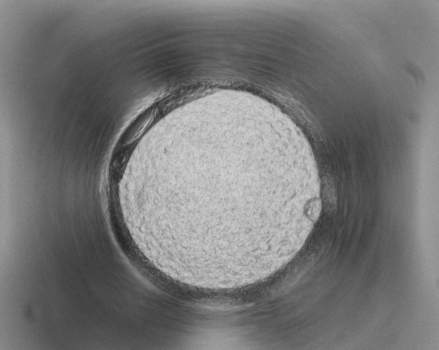 X0000116100630201001040952