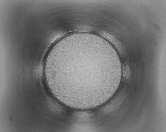 X0000116100632201001040952