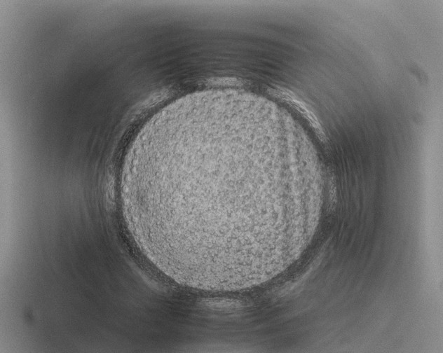 X0000116100633201001040952