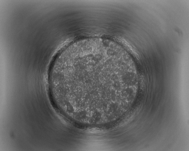 X0000116100634201001040952