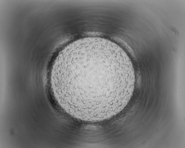 X0000116100635201001040952