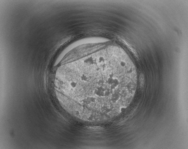 X0000116100637201001040952