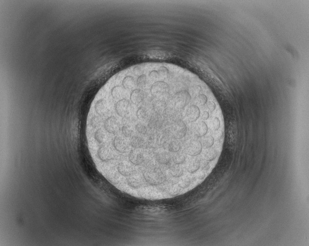 X0000116100639201001040952