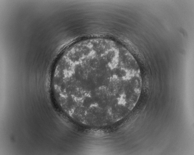 X0000116100640201001040952