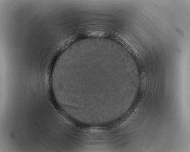 X0000116100641201001040952