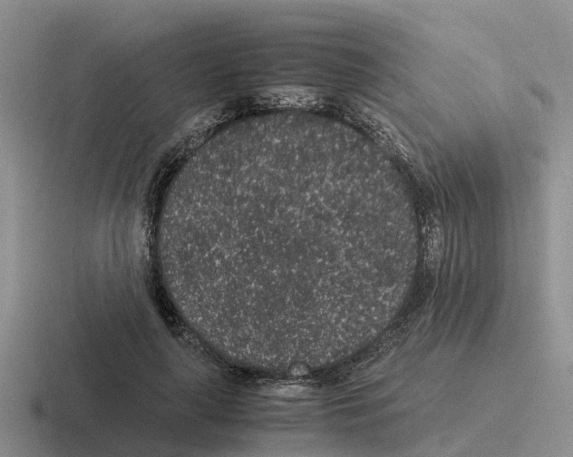 X0000116100643201001040952