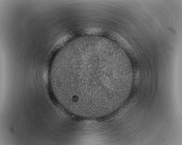 X0000116100644201001040952