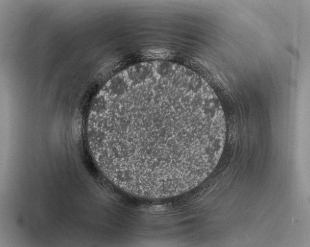 X0000116100647201001040952