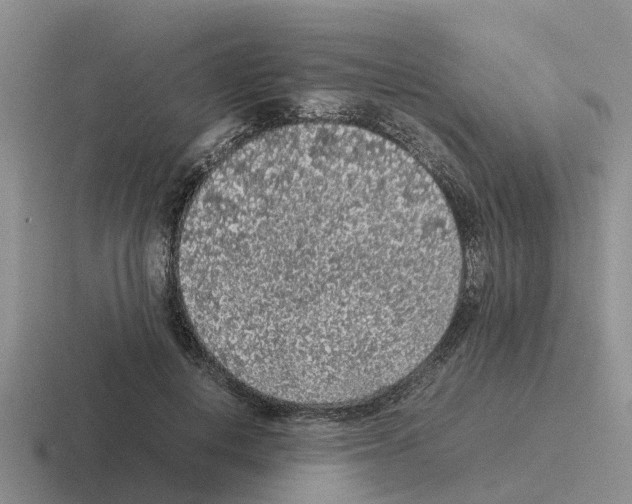 X0000116100648201001040952