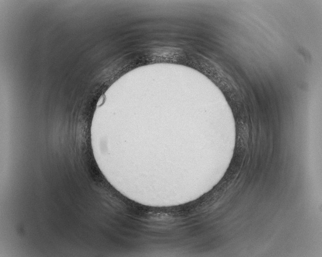 X0000116100649201001040952