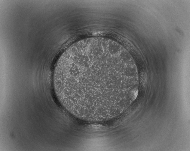 X0000116100650201001040953